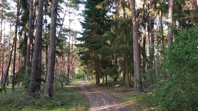 Gabinet Psychoterapii i Pomocy Psychologicznej Wioletta Berjak